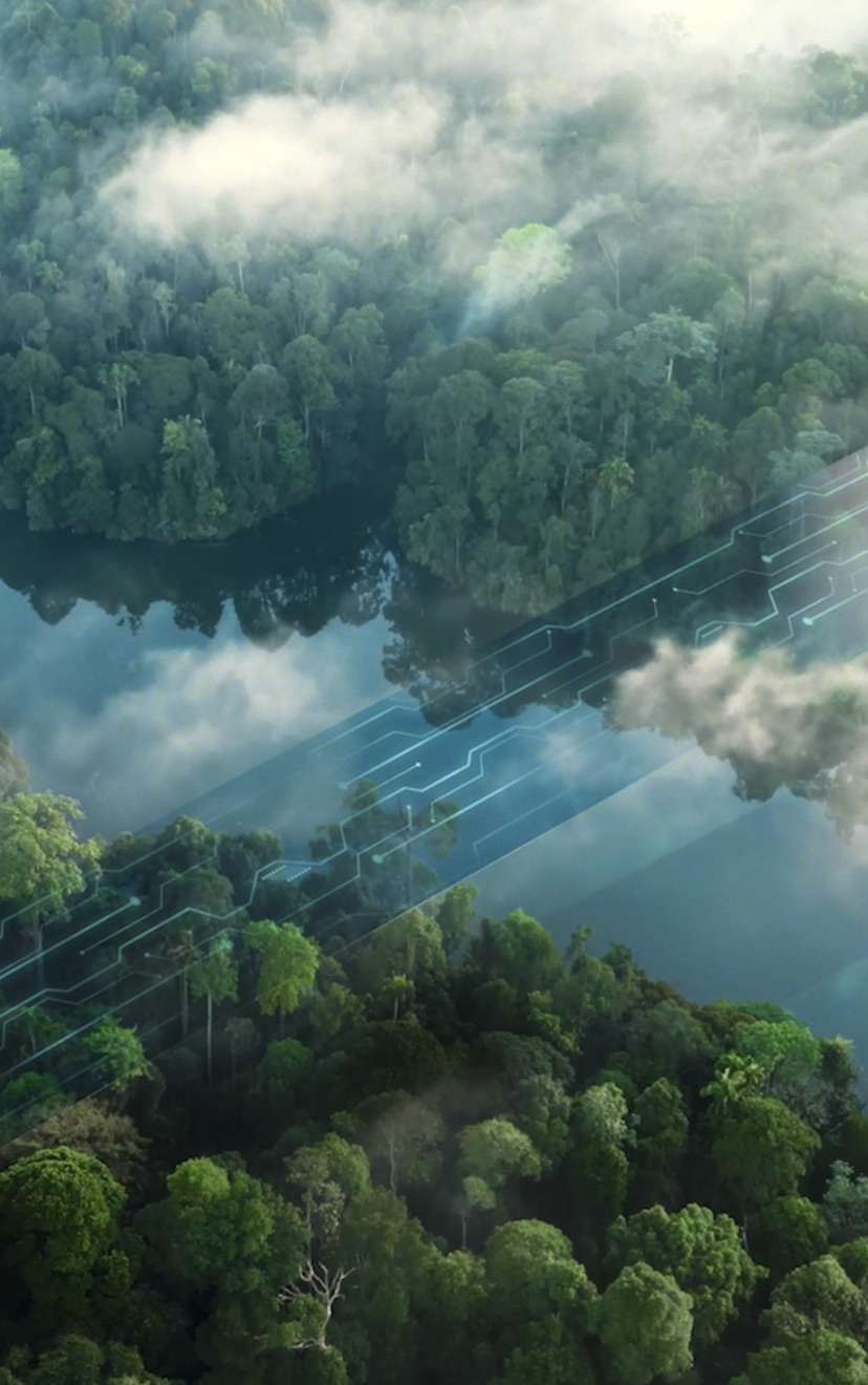 Bridge to a sustainable future