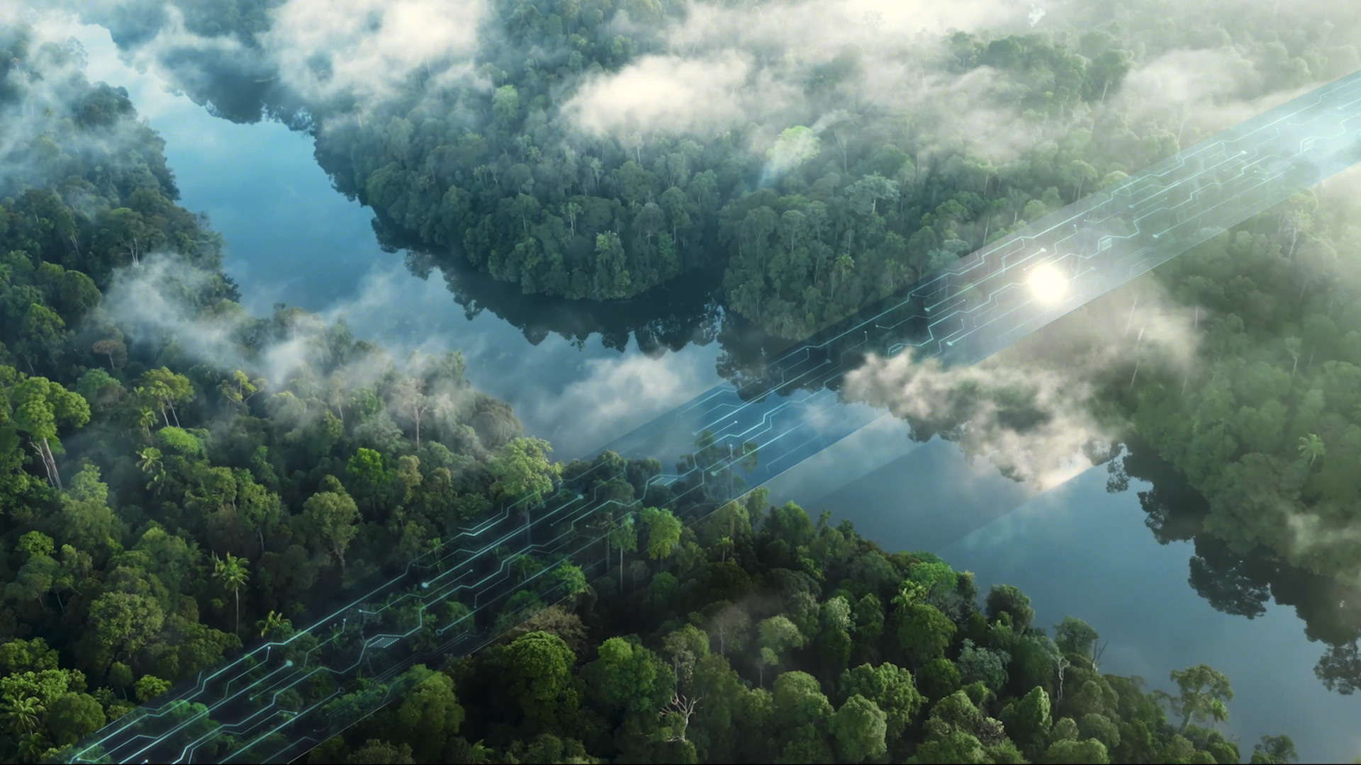 Bridge to a sustainable future